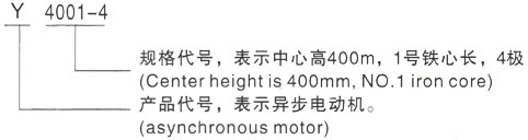 西安泰富西玛Y系列(H355-1000)高压YRKK560-10三相异步电机型号说明