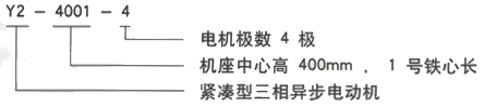 YR系列(H355-1000)高压YRKK560-10三相异步电机西安西玛电机型号说明